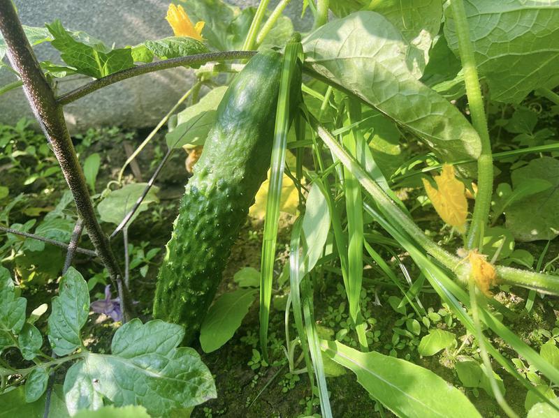 微信图片_20240626105349